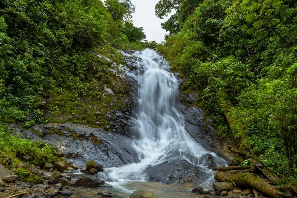 Waterval in de jungle van Costa Rica