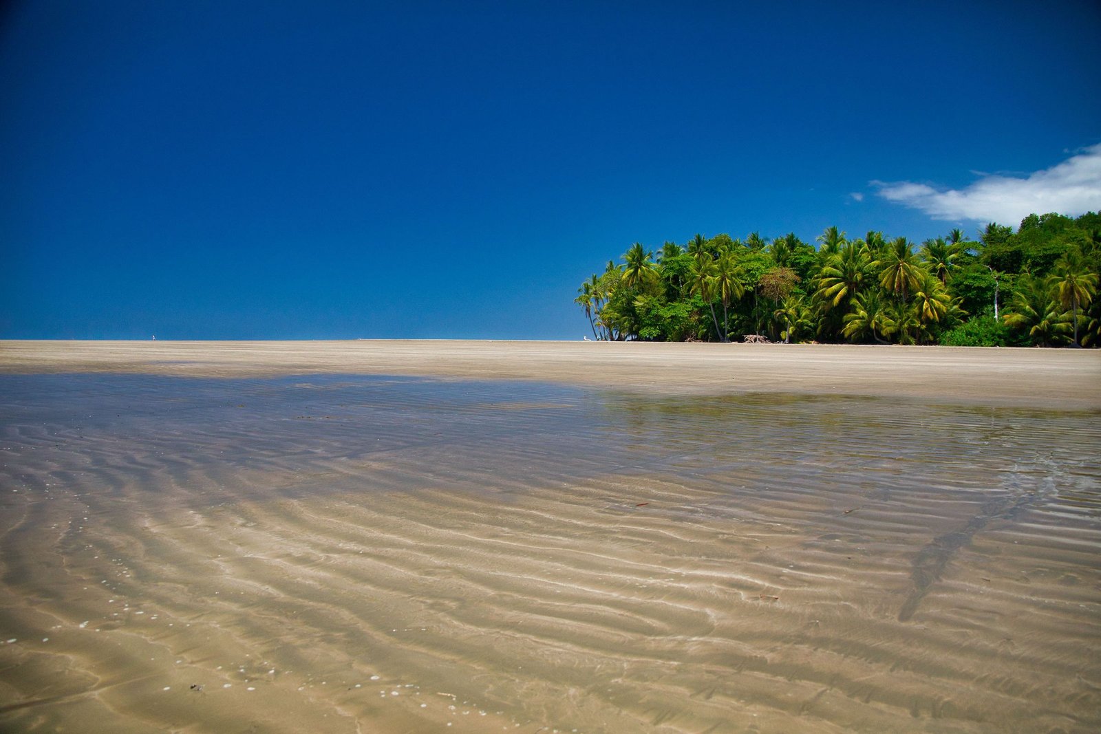 Strand bij Uvita aan de rand van het schiereiland Osa