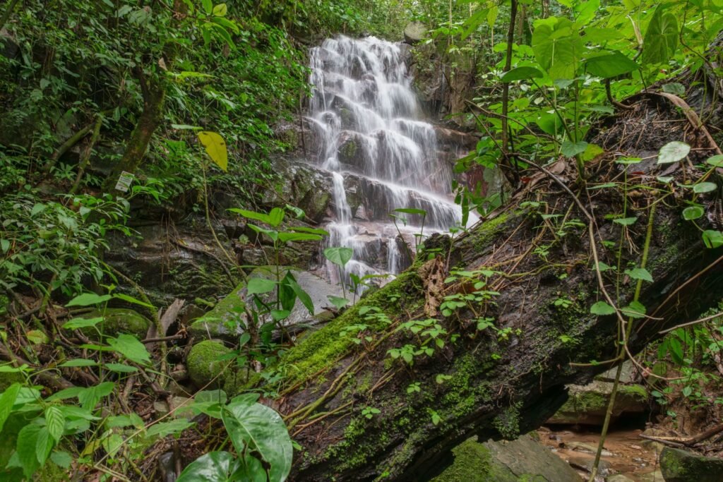 Waterval in de jungle van Costa Rica