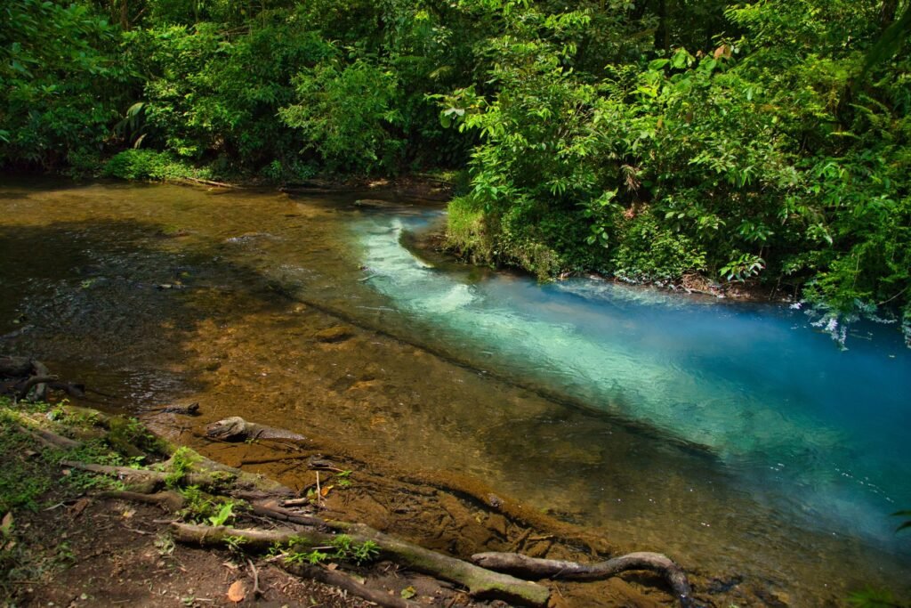 De blauwe Río Celeste in het regenwoud