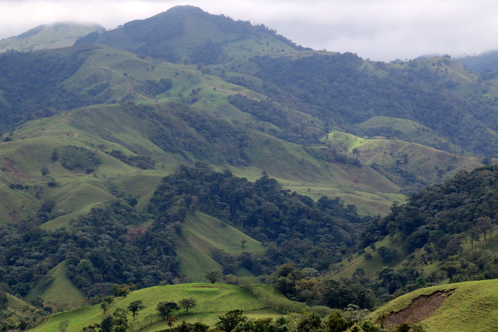 Groene heuvels en bossen bij Monteverde