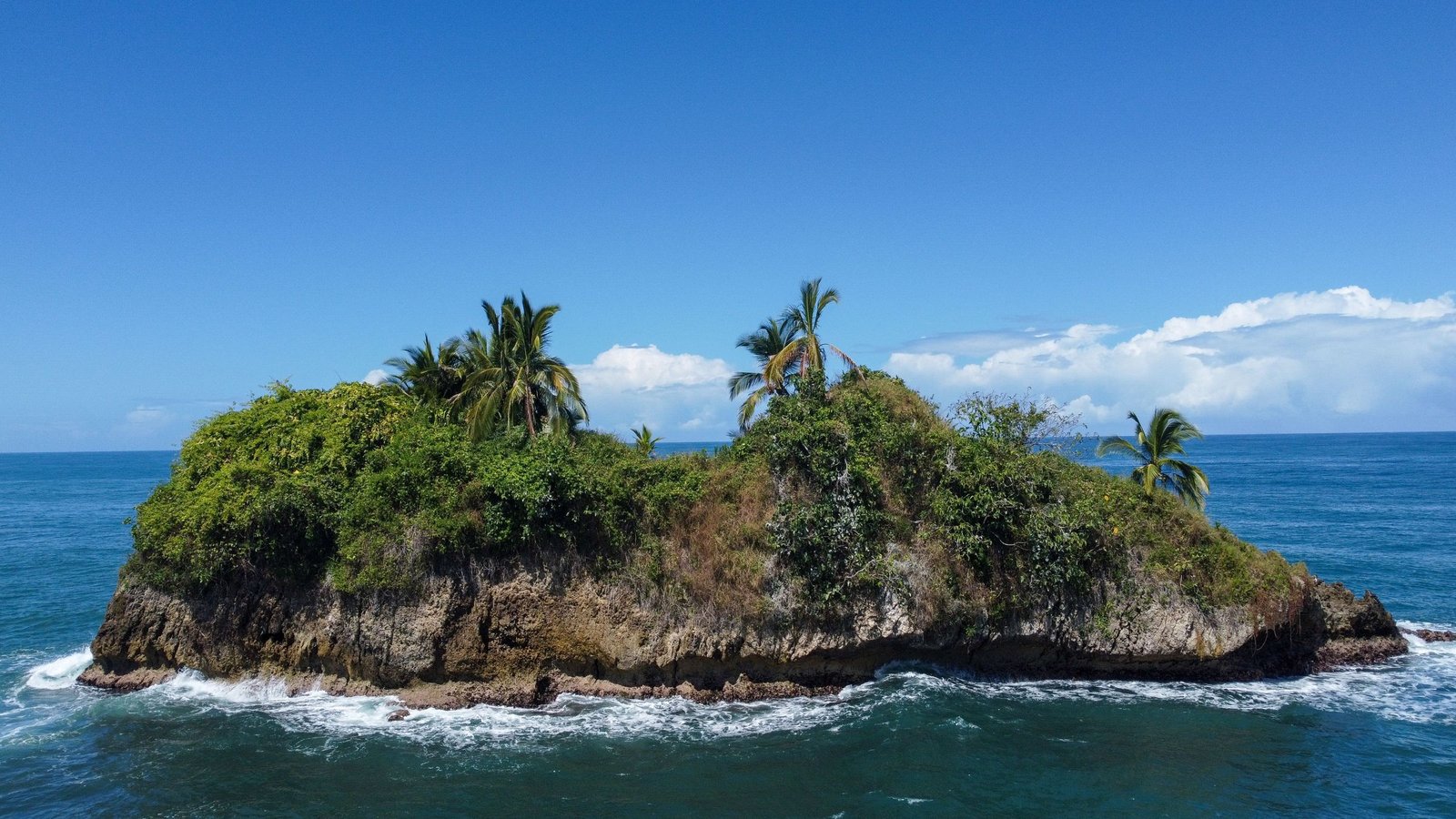 Eilandje met palmen voor de kust van Puerto Viejo