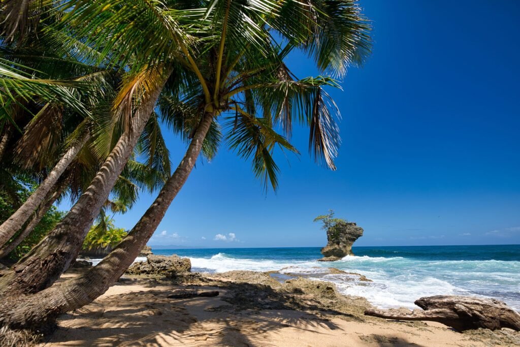 Palmen en strand aan de Caribische kust van Limón