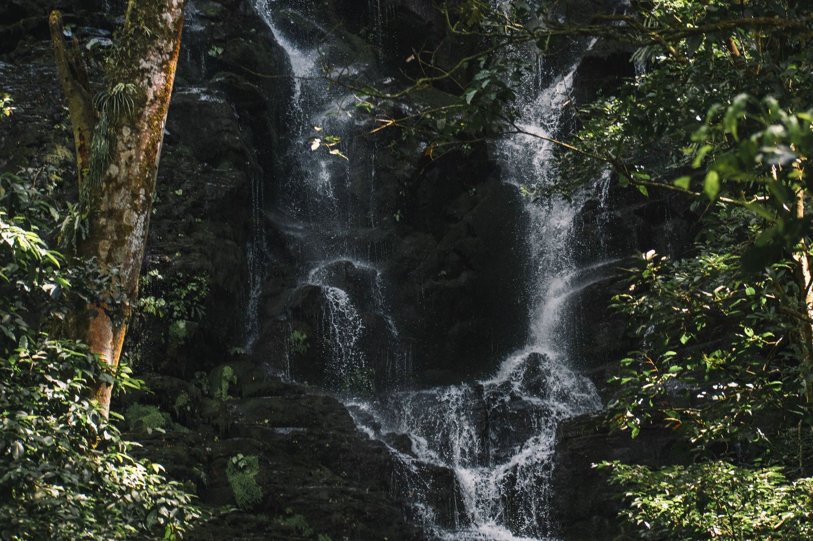 Waterval in het bos van Guanacaste