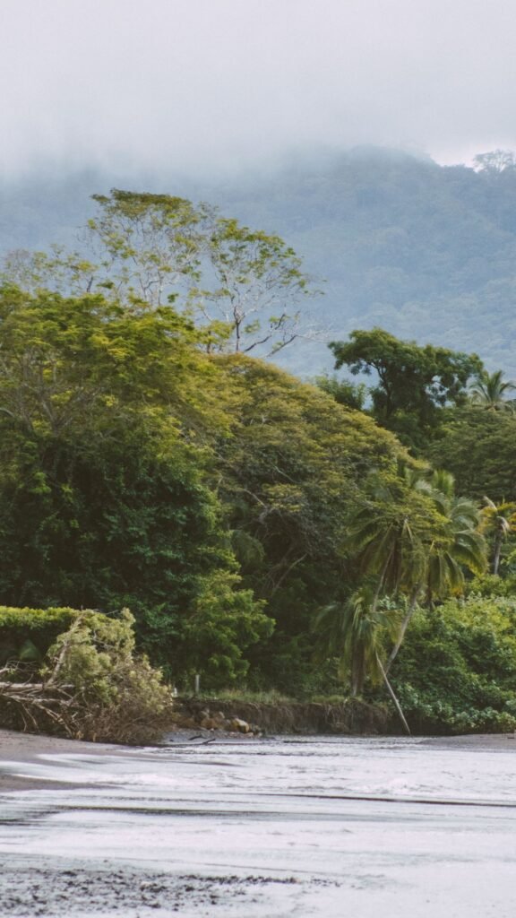 Bos en heuvels in Guanacaste