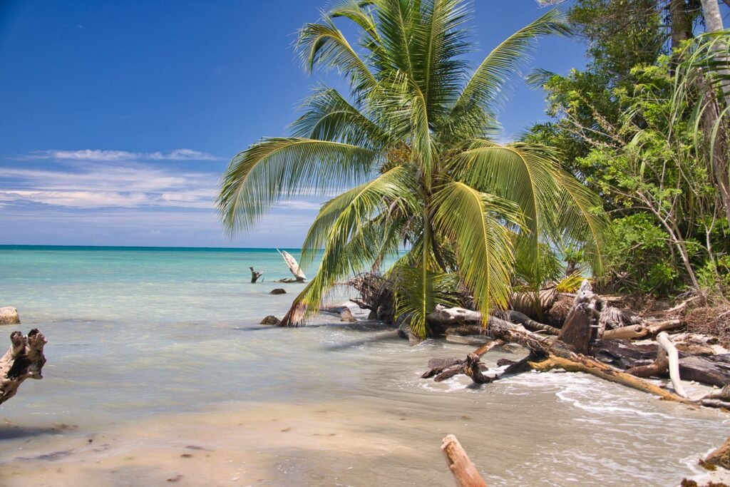 Palmenstrand aan de Caribische kust van Limón