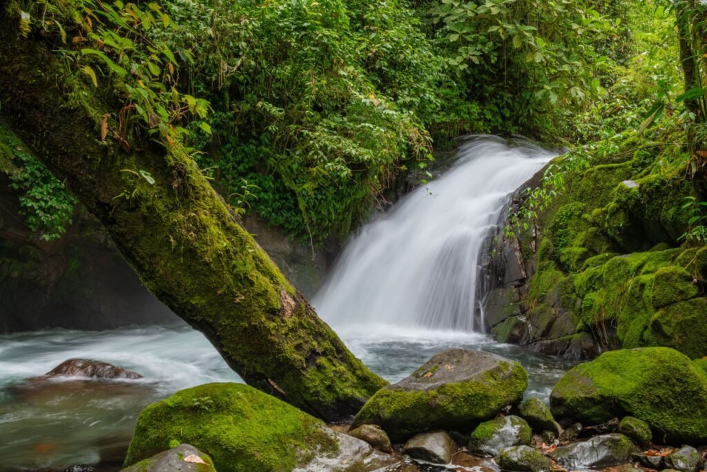 Waterval tussen mossige rotsen in Costa Rica