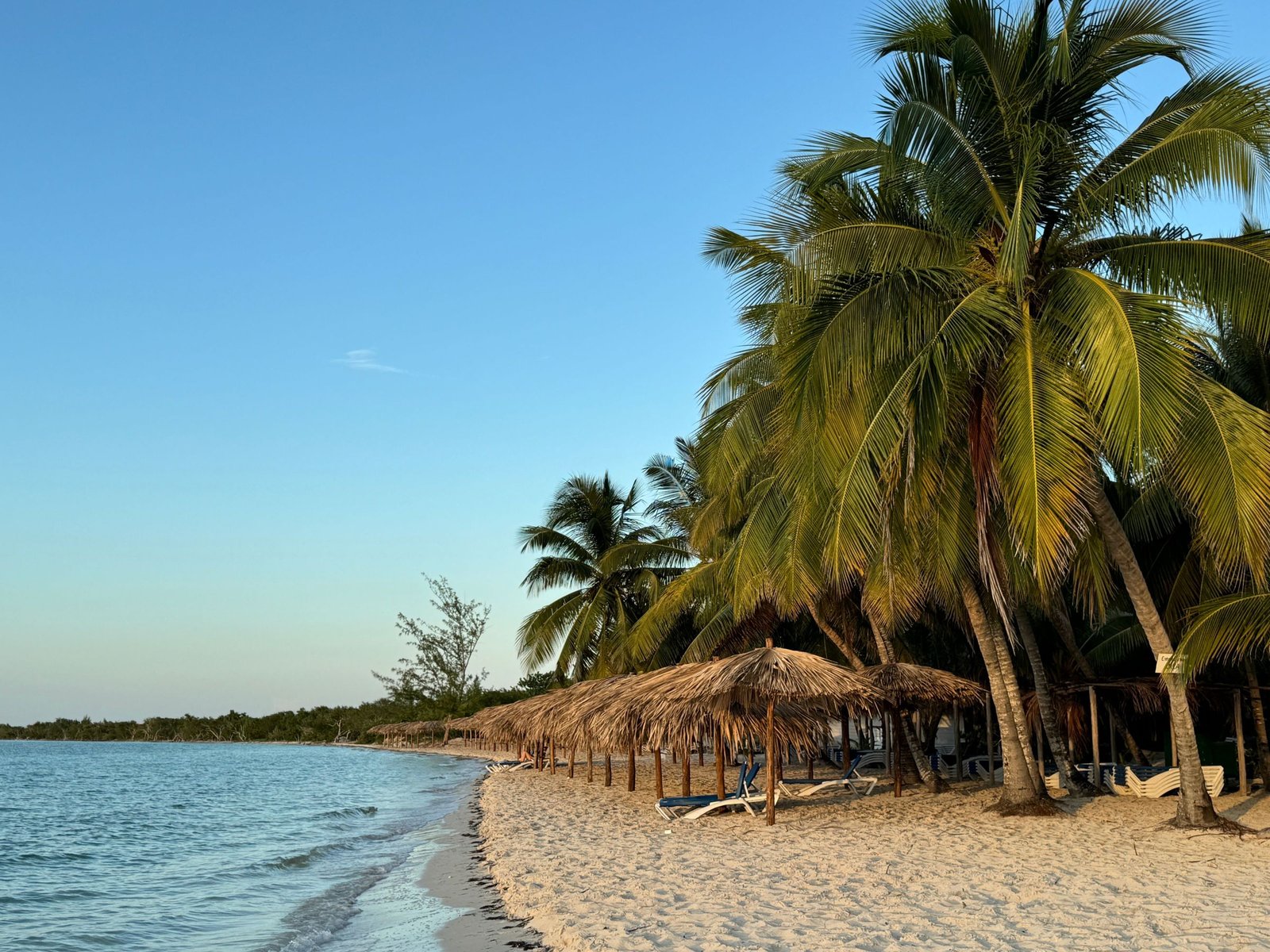 Palmen en strandhutten in Cuba