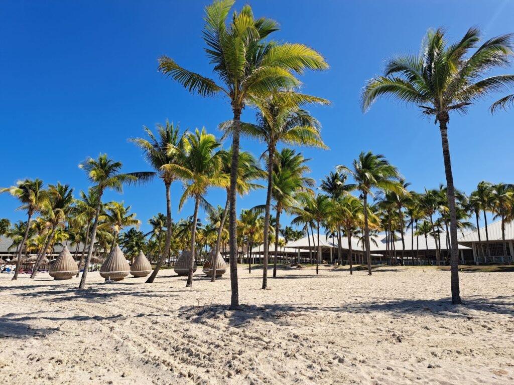 Palmen op het strand van Varadero