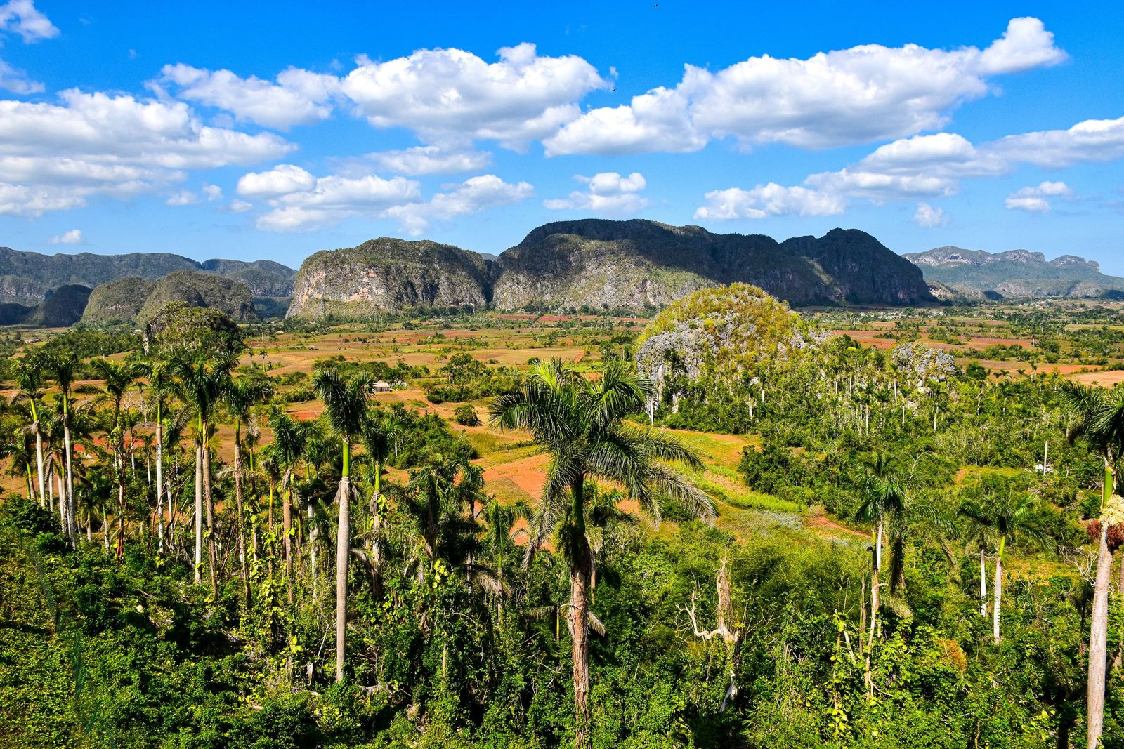 Mogotes in de vallei van Viñales