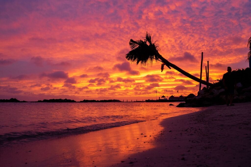 Zonsondergang met palmboom op een strand van Curaçao