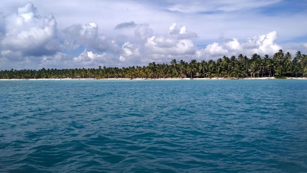 Kust met palmbomen in de provincie La Altagracia