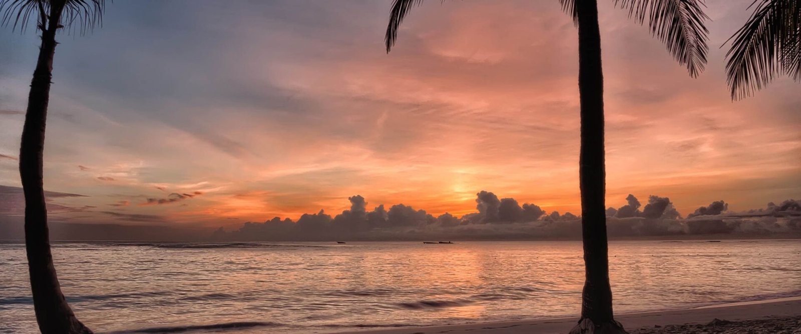 Zonsondergang tussen palmbomen aan het strand