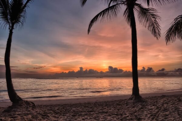Zonsondergang tussen palmbomen aan het strand