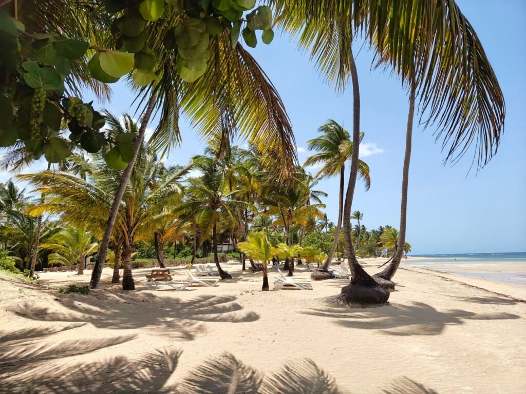 Palmenstrand op het schiereiland Samaná