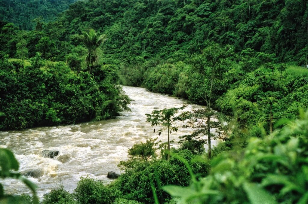 Kolkende rivier door het regenwoud van het Ecuadoraanse Amazonegebied