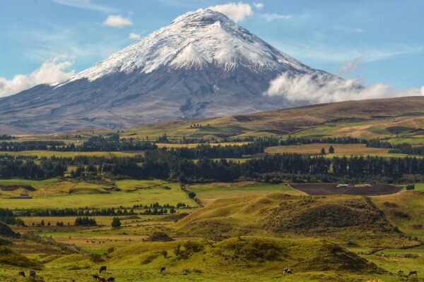 De besneeuwde vulkaan Cotopaxi boven groene velden