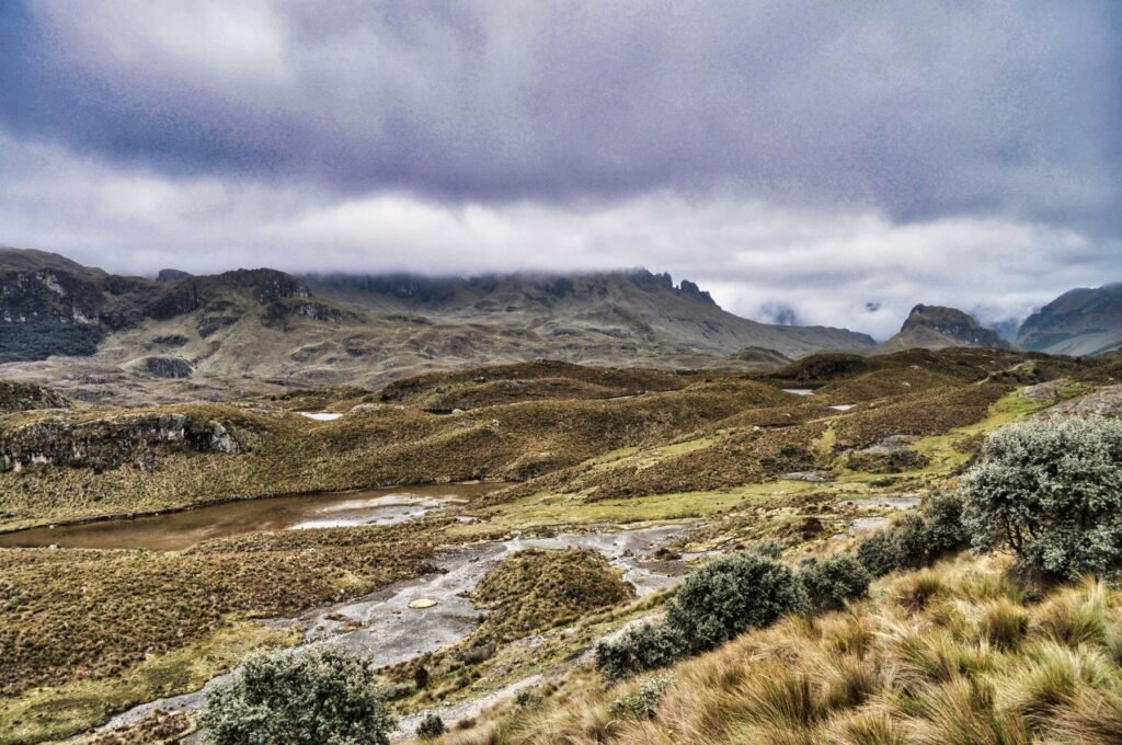 Paramo-landschap in Nationaal Park El Cajas