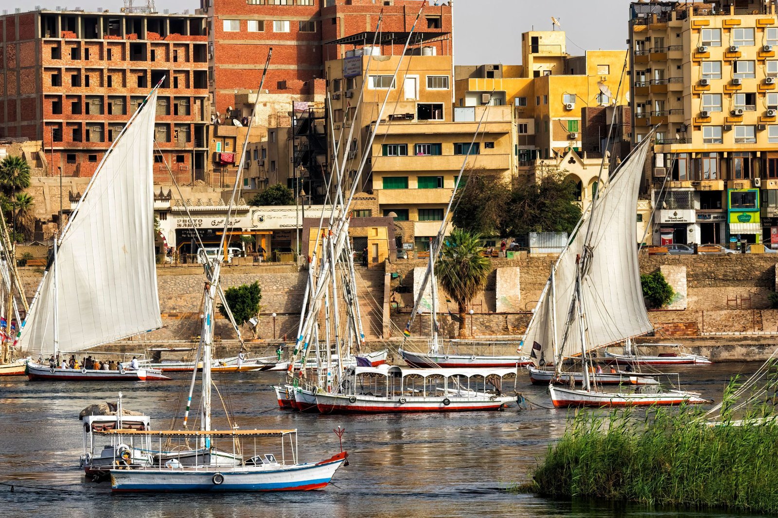 Feloeka's op de Nijl bij Aswan