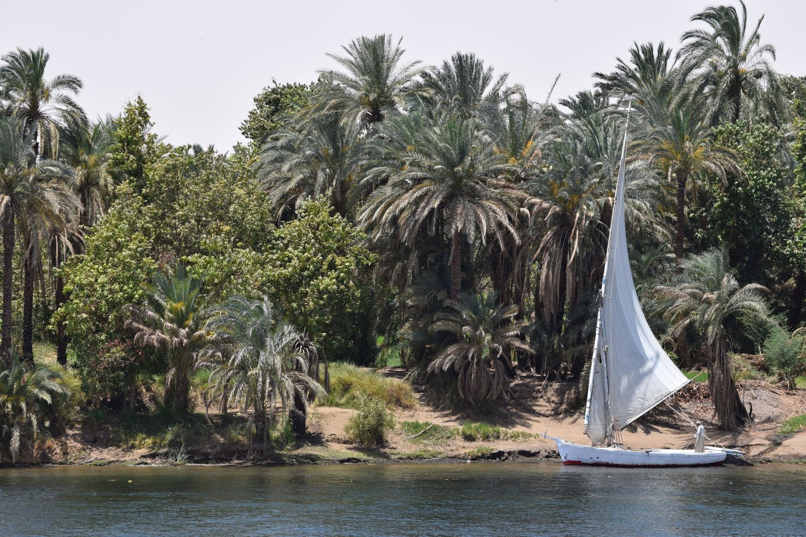 Vaccinaties voor Egypte: wat is nodig en wat is verstandig?
