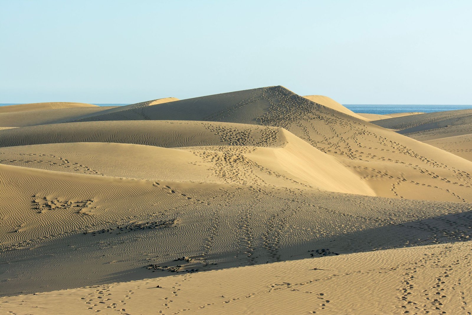 Duinen van Maspalomas