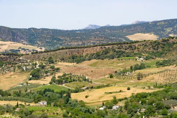 Glooiende heuvels en akkers in Andalusië