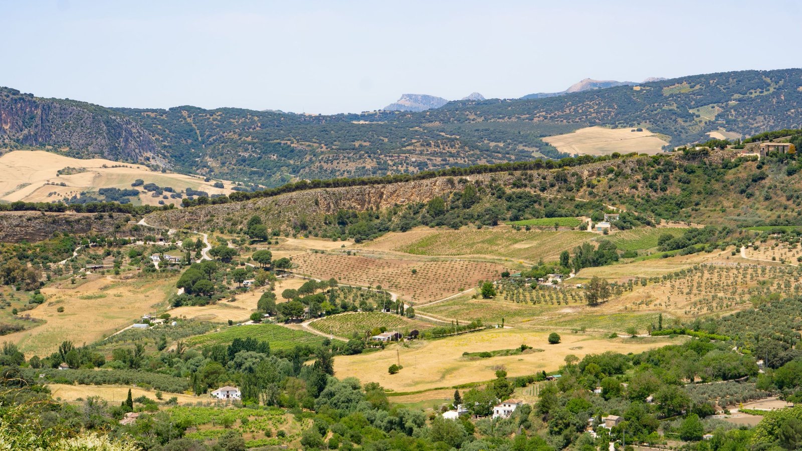 Glooiende heuvels en akkers in Andalusië