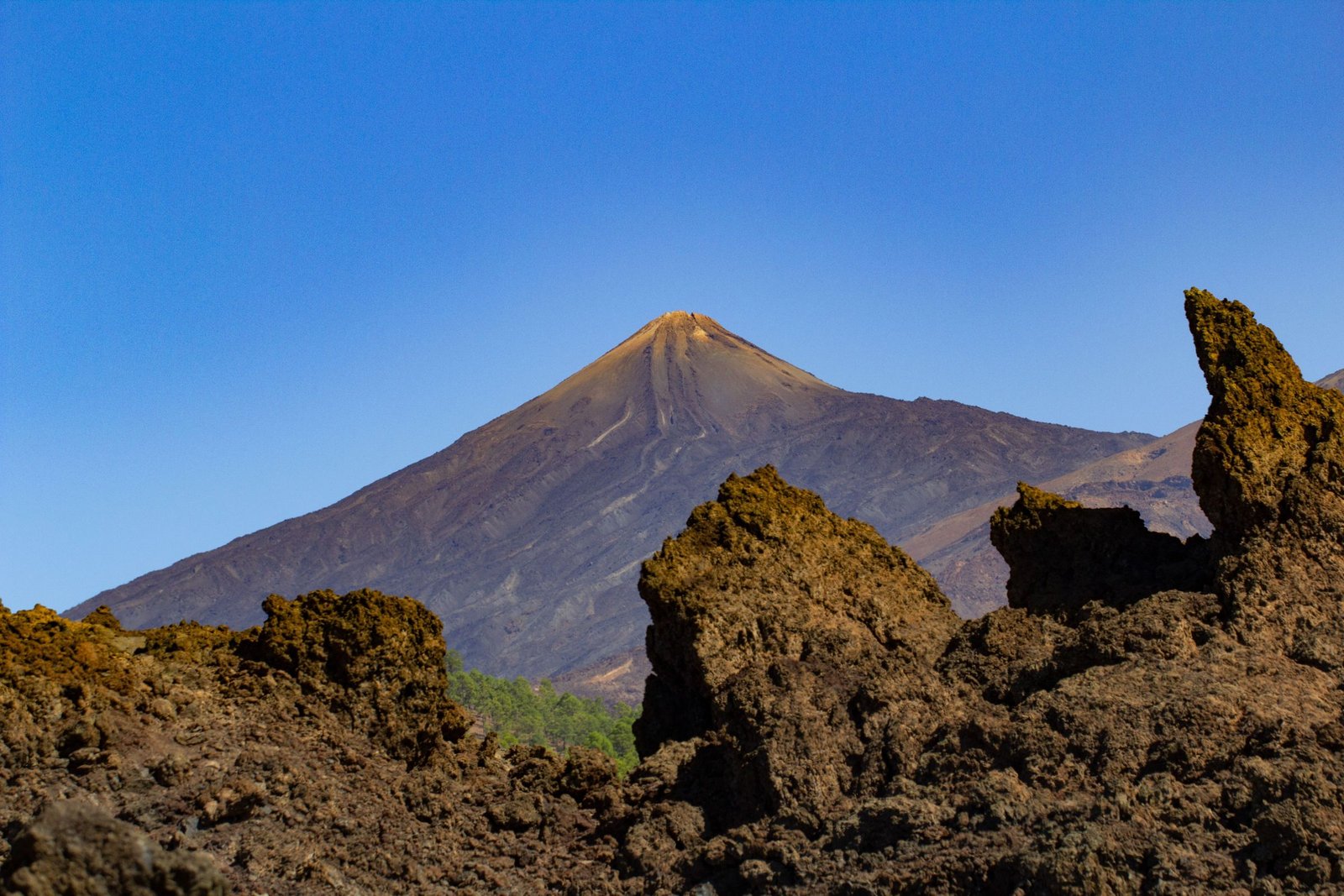 De Teide met lavarotsen