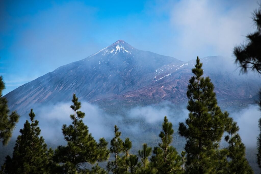 De Teide tussen pijnbomen