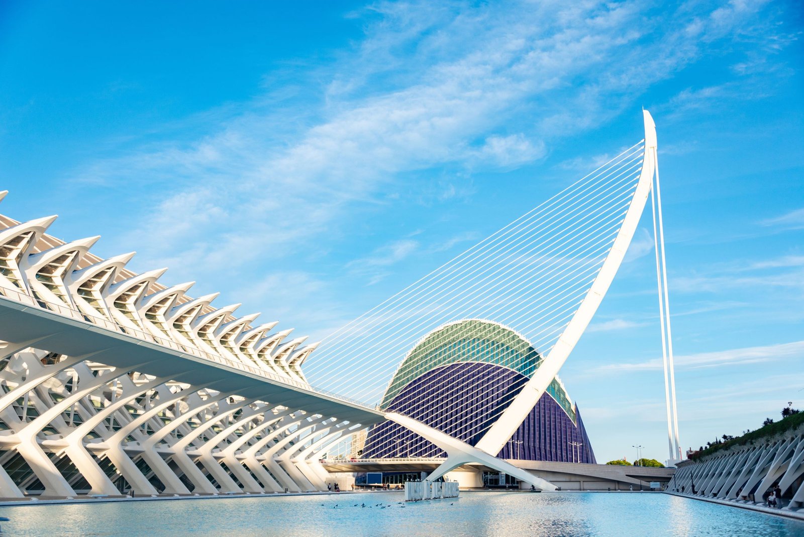 Ciudad de las Artes y las Ciencias in Valencia