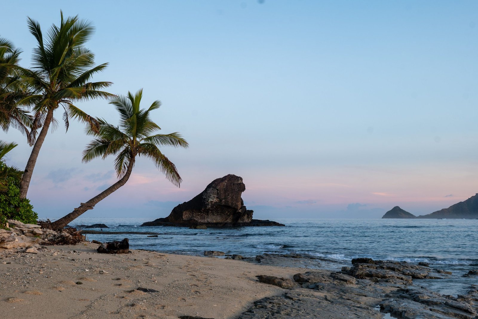 Palmbomen en een rotseilandje aan de kust van Fiji