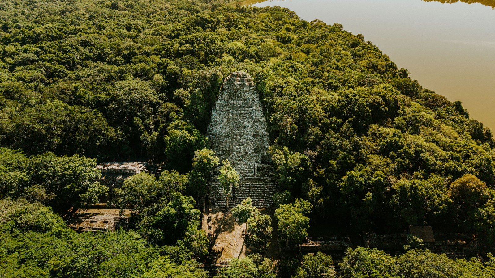 Mayapiramide in de jungle van Petén