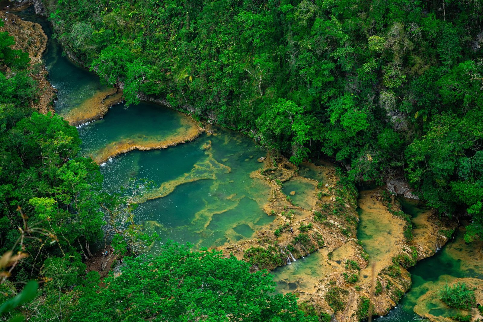 De groene baden van Semuc Champey in de jungle