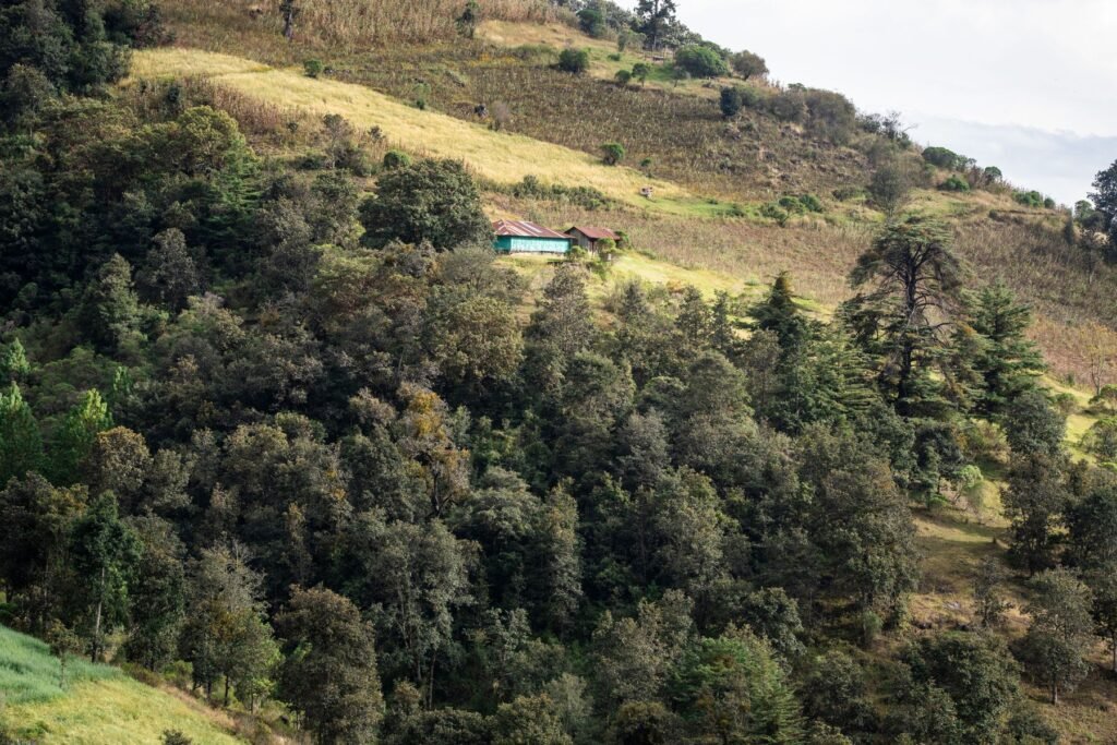 Groene heuvels met boerderijen in de Guatemalteekse hooglanden