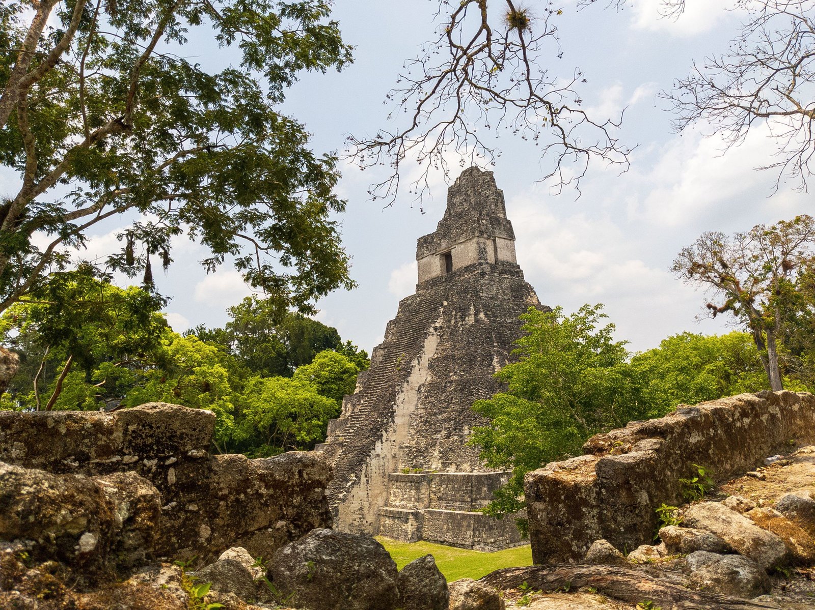 Tempel I in Tikal tussen de bomen