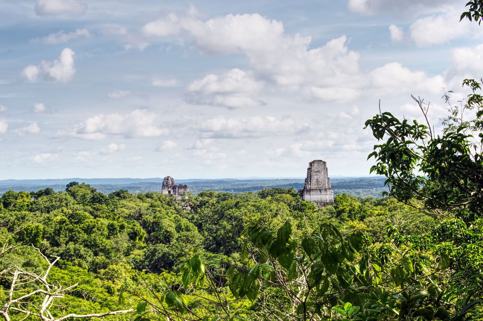 Tempels van Tikal boven de jungle