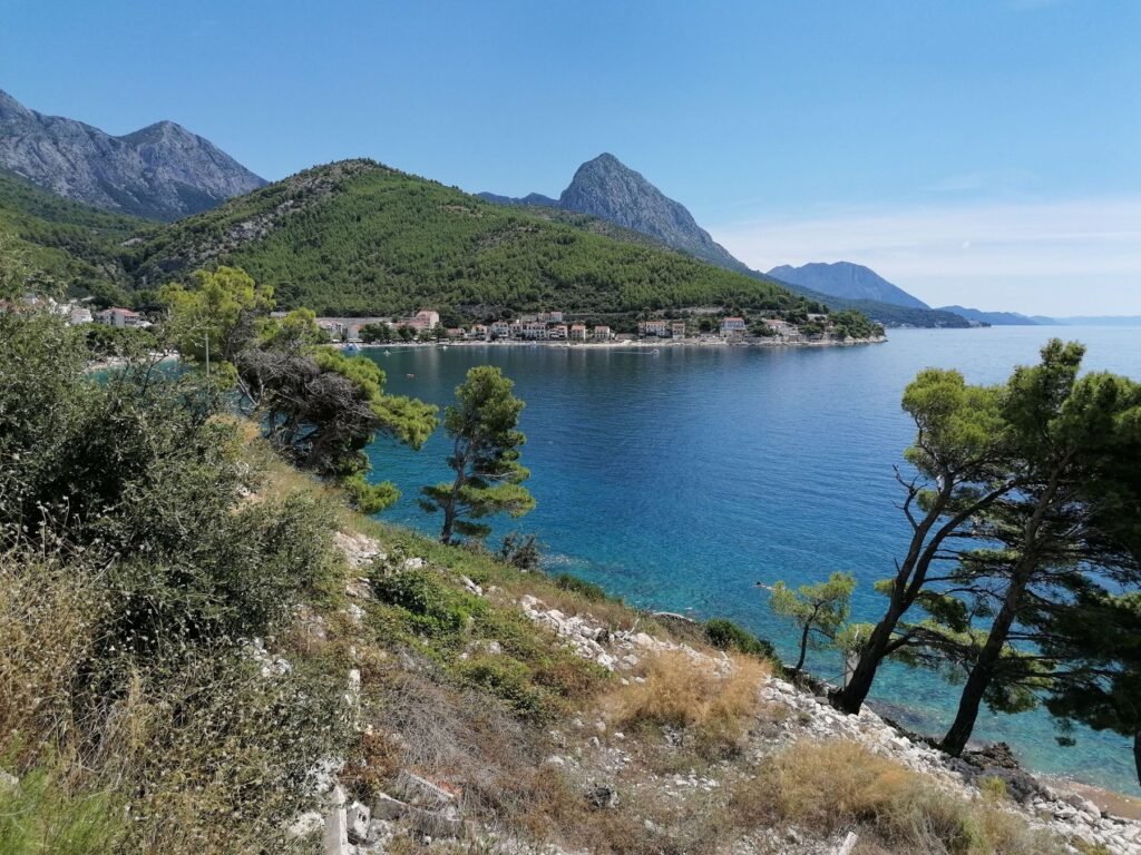 Pijnbomen en zee aan de Makarska Riviera