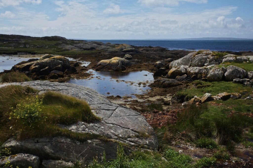 Rotsen en gras aan de kust van Connemara