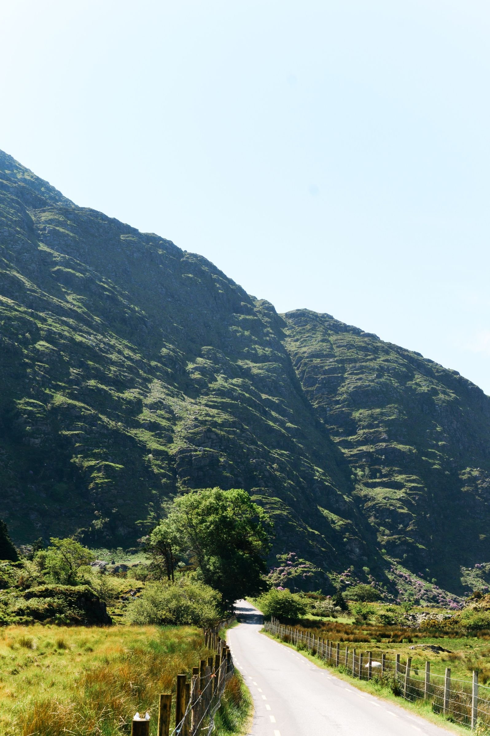 Smalle weg tussen de bergen in Kerry