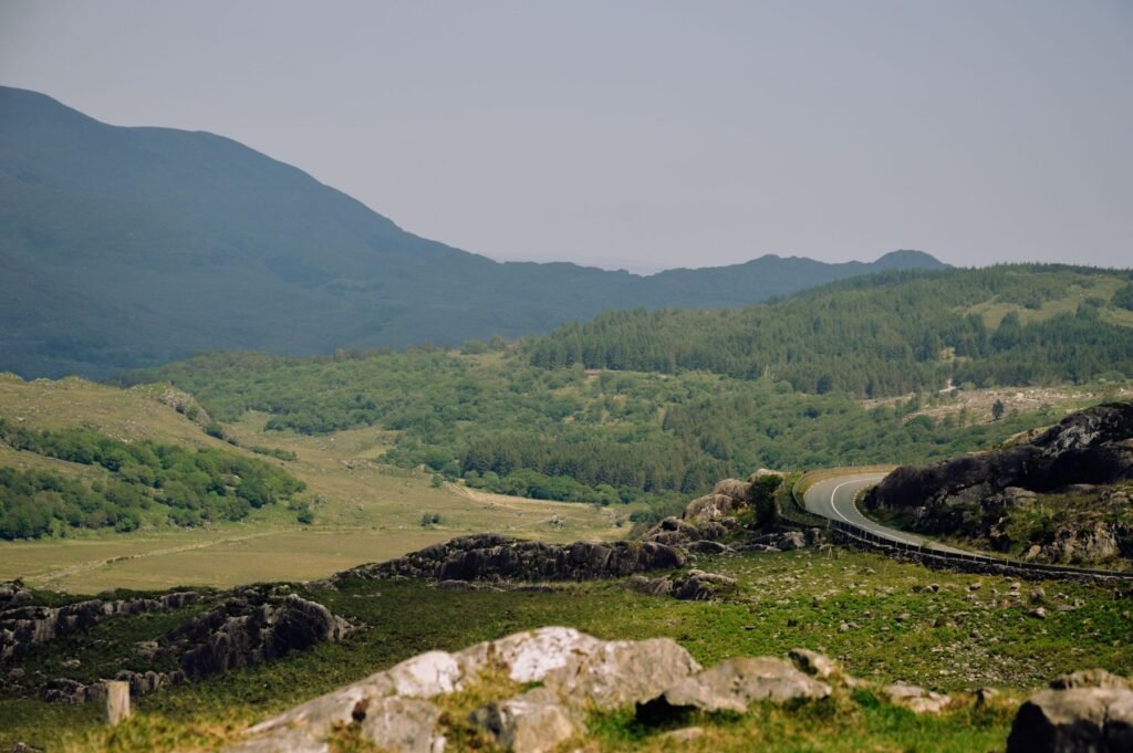 Weg door het groen in Kerry