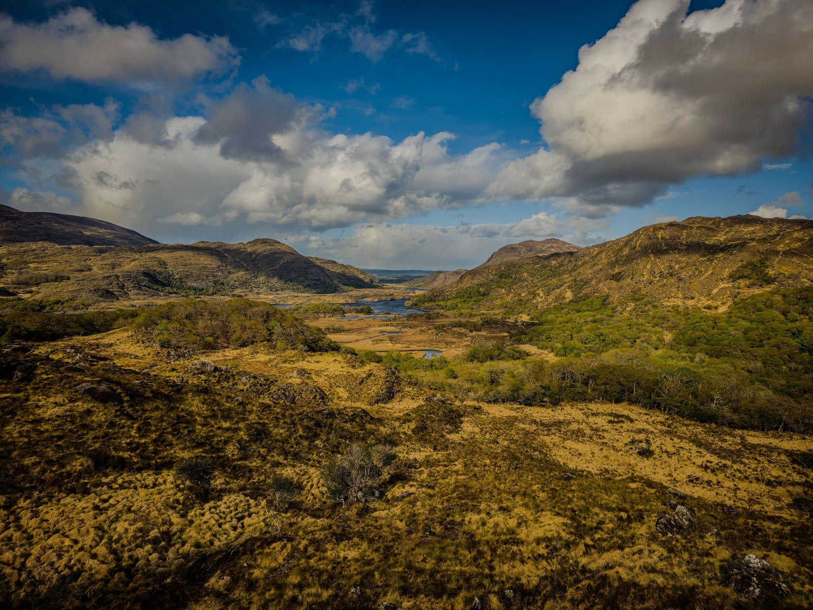 Landschap bij Killarney