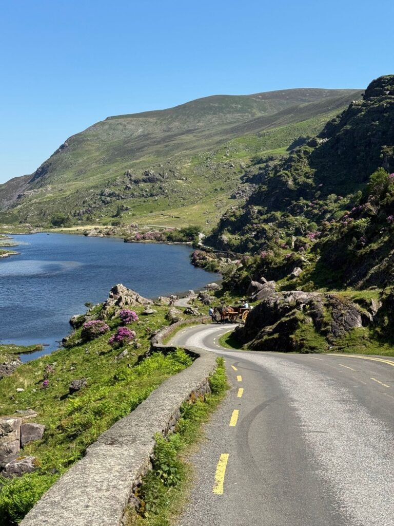 Weg langs een meer bij Killarney