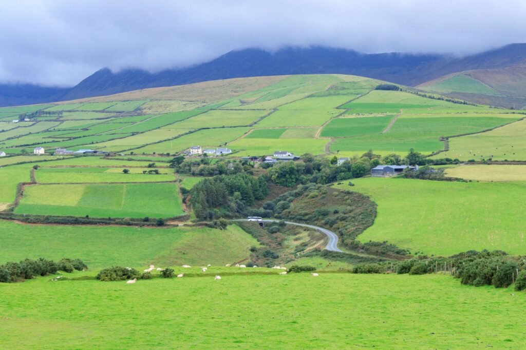 Groene velden en heuvels op Dingle