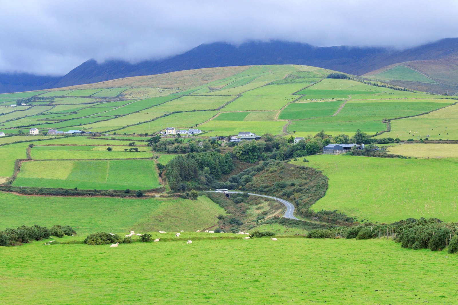 Groene velden en heuvels op Dingle