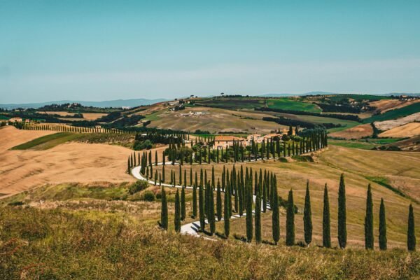 Cipressenlaan in de Val d'Orcia