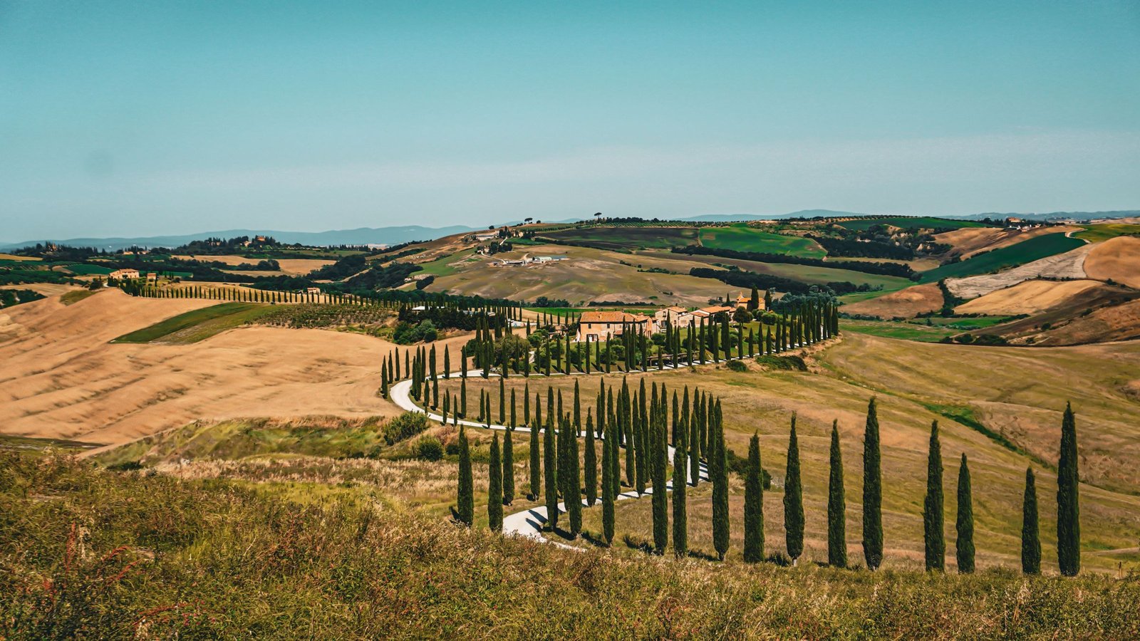 Cipressenlaan in de Val d'Orcia