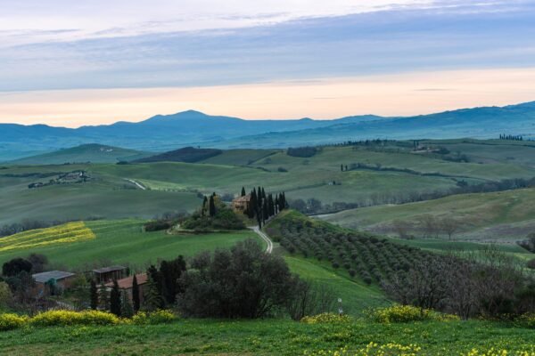 Glooiende heuvels met cipressen in Toscane