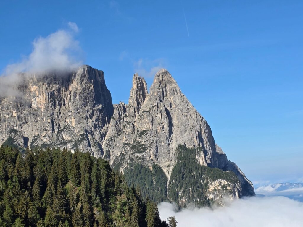 Bergtoppen van de Dolomieten boven een bos met mist