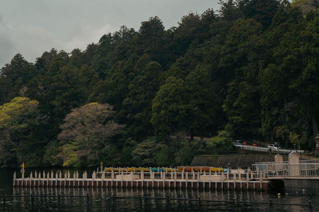 Pier en bos langs het Ashi-meer in Hakone