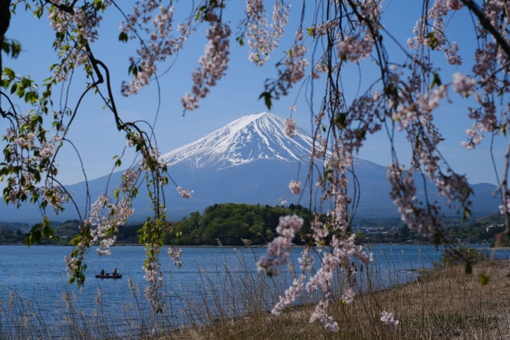 Mount Fuji met kersenbloesem aan een meer